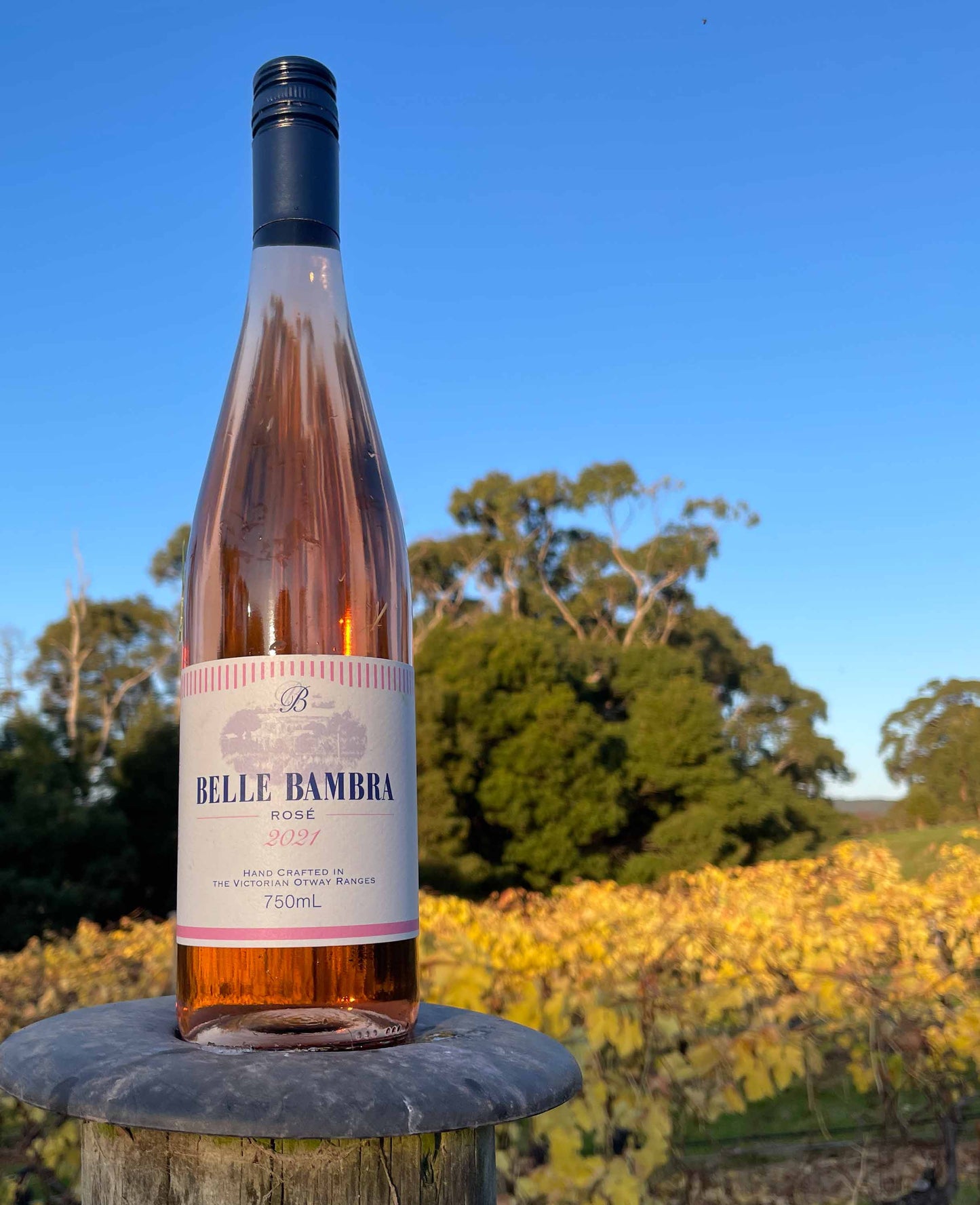 Six bottles of 2021 Belle Bambra Rose