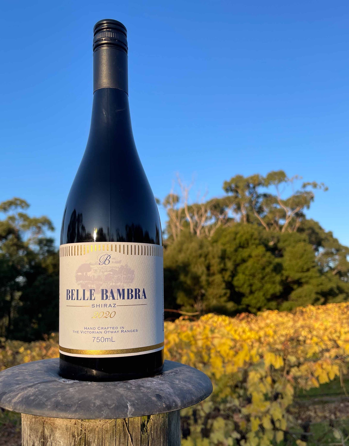 Six bottles of 2020 Belle Bambra Shiraz