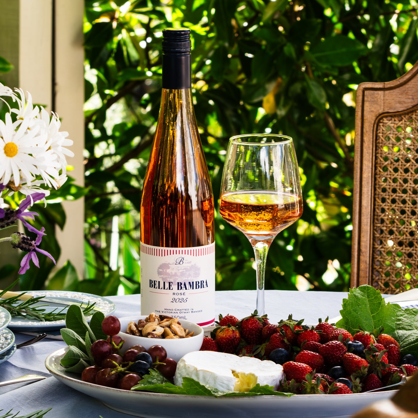 2025 Belle Bambra Rose